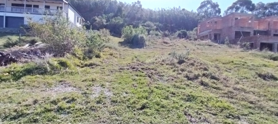 0 Bedroom Property for Sale in Green Pastures Western Cape